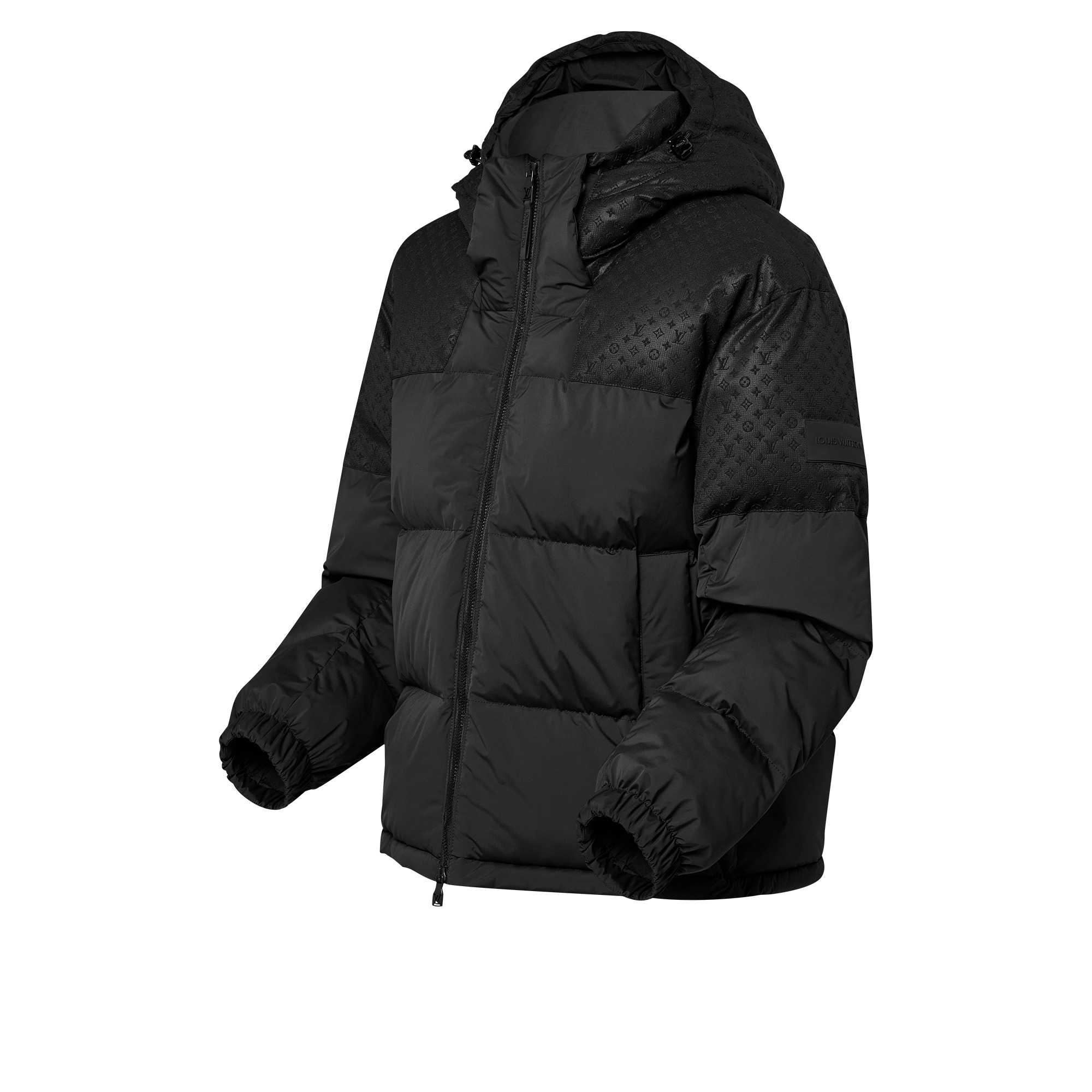 Placed Monogram Ecodown Blouson - 2