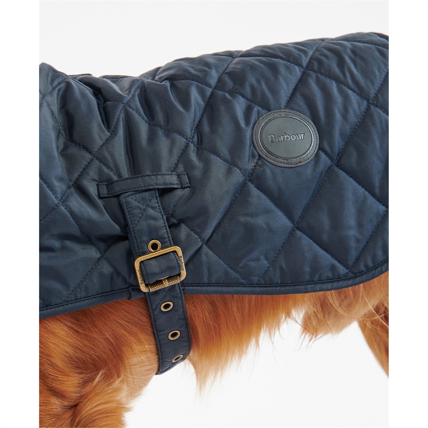QUILTED DOG COAT - 5