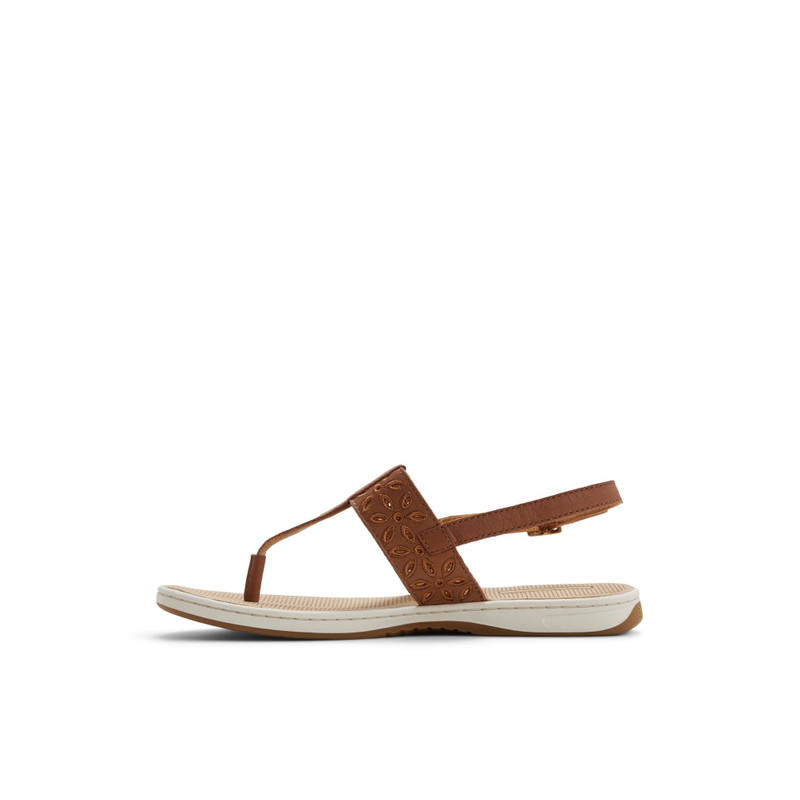 SPERRY Sunfish Thong Sandal outlook