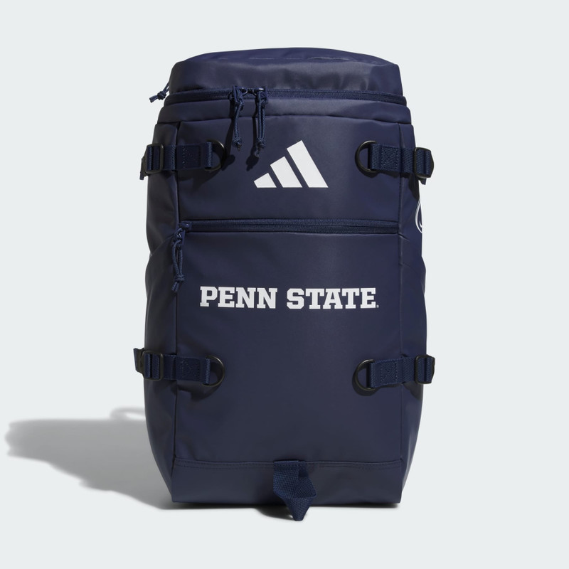 Collegiate Vista Backpack 1
