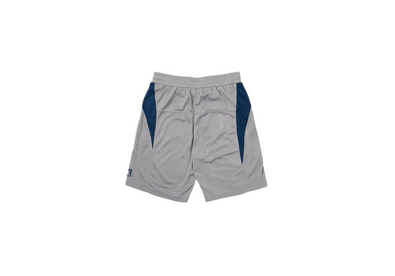 PALACE MESH TEAM SHORT GREY outlook