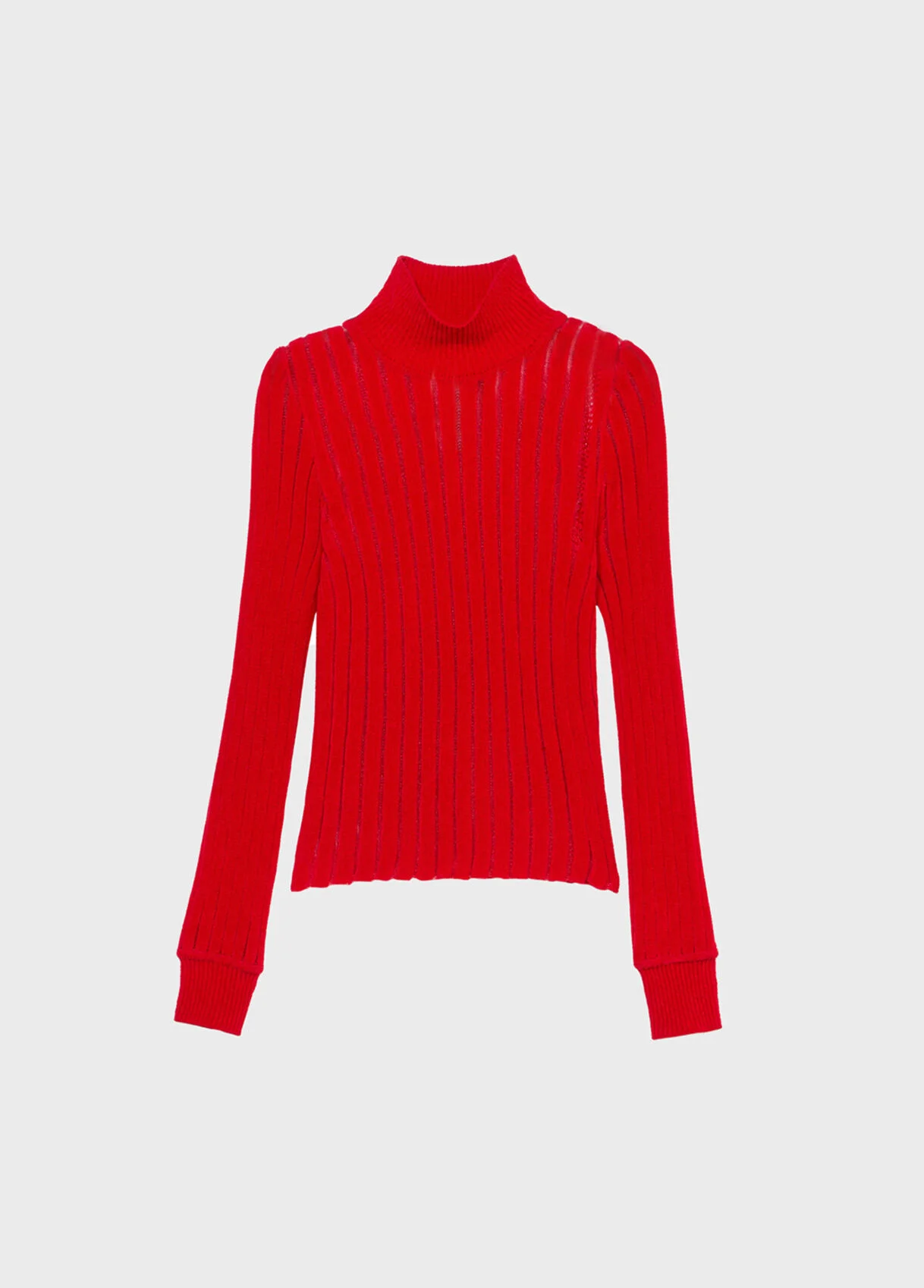 RIBBED SEE-THROUGH KNIT TURTLENECK - 1