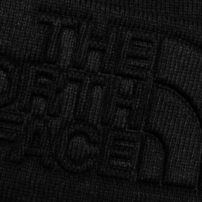 The North Face URBAN EMBOSSED BEANIE - BLACK outlook
