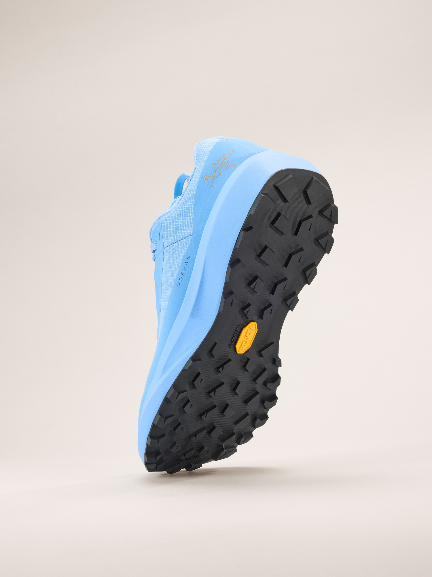 Norvan LD 4 GTX Shoe - 4