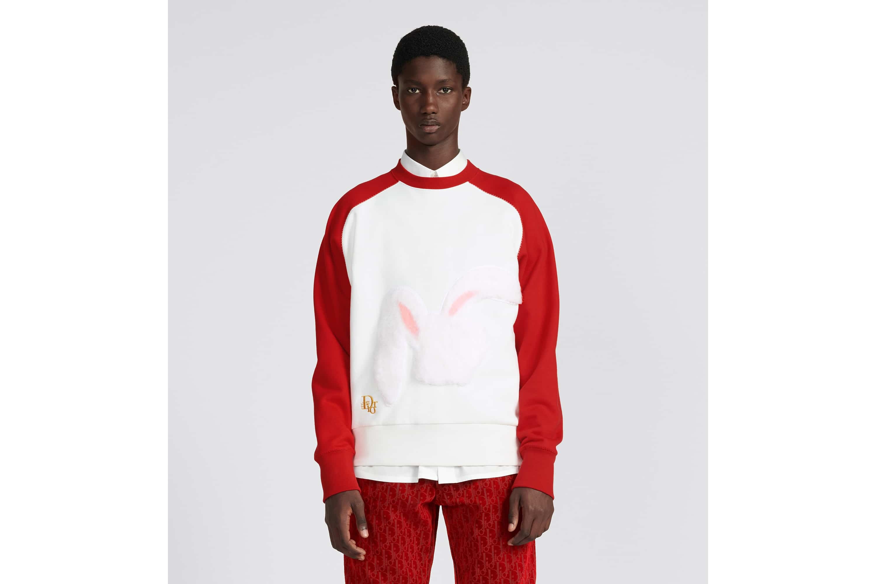 DIOR BY ERL Sweatshirt - 4