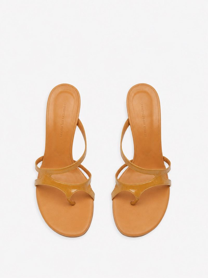 Calathea Heel 4
