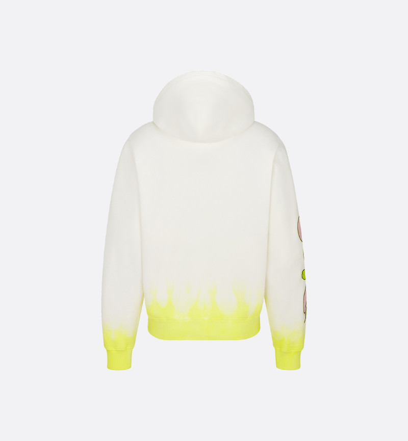 DIOR AND KAWS Hooded Sweatshirt 6