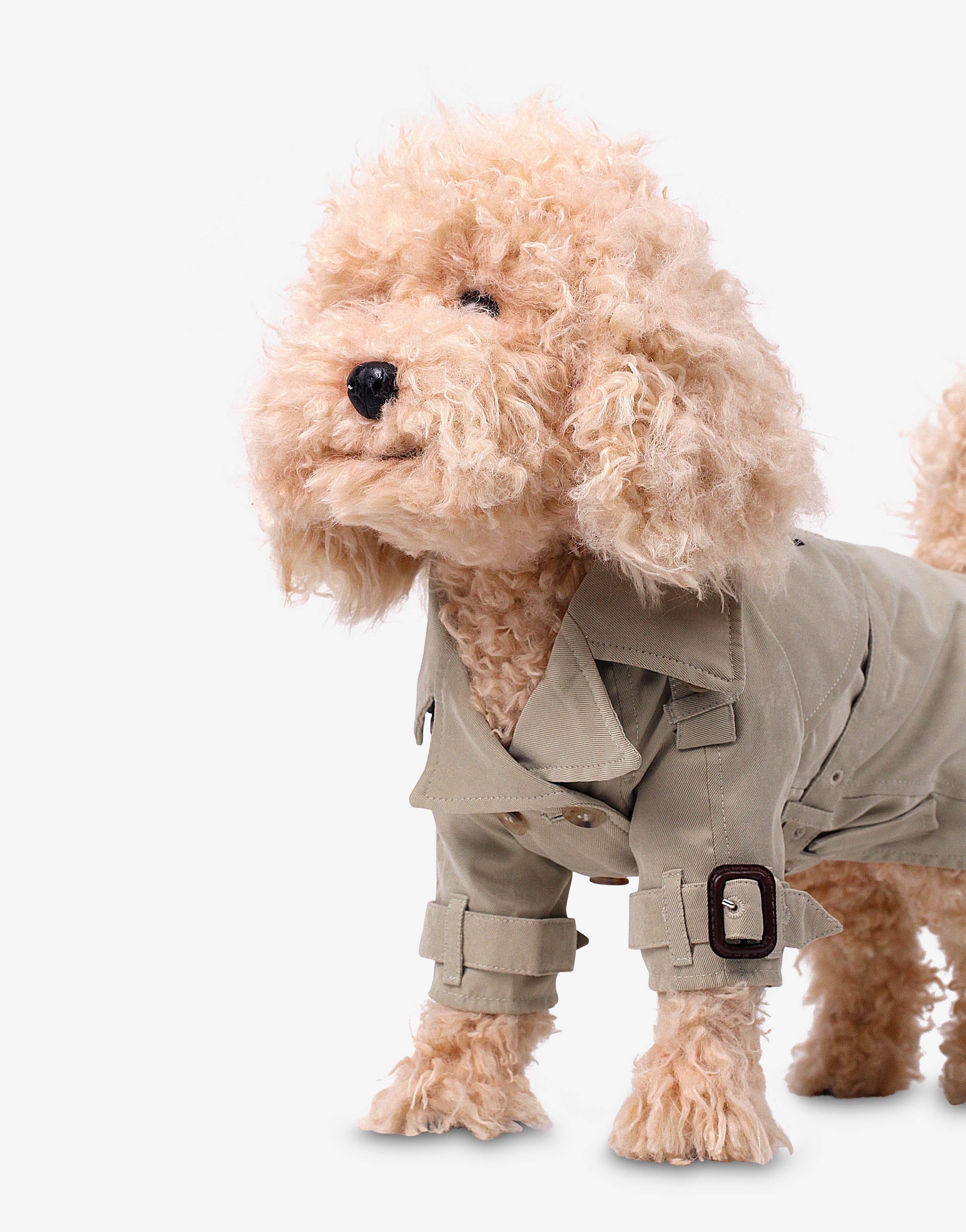 GABARDINE AND NYLON DOG COAT - 3