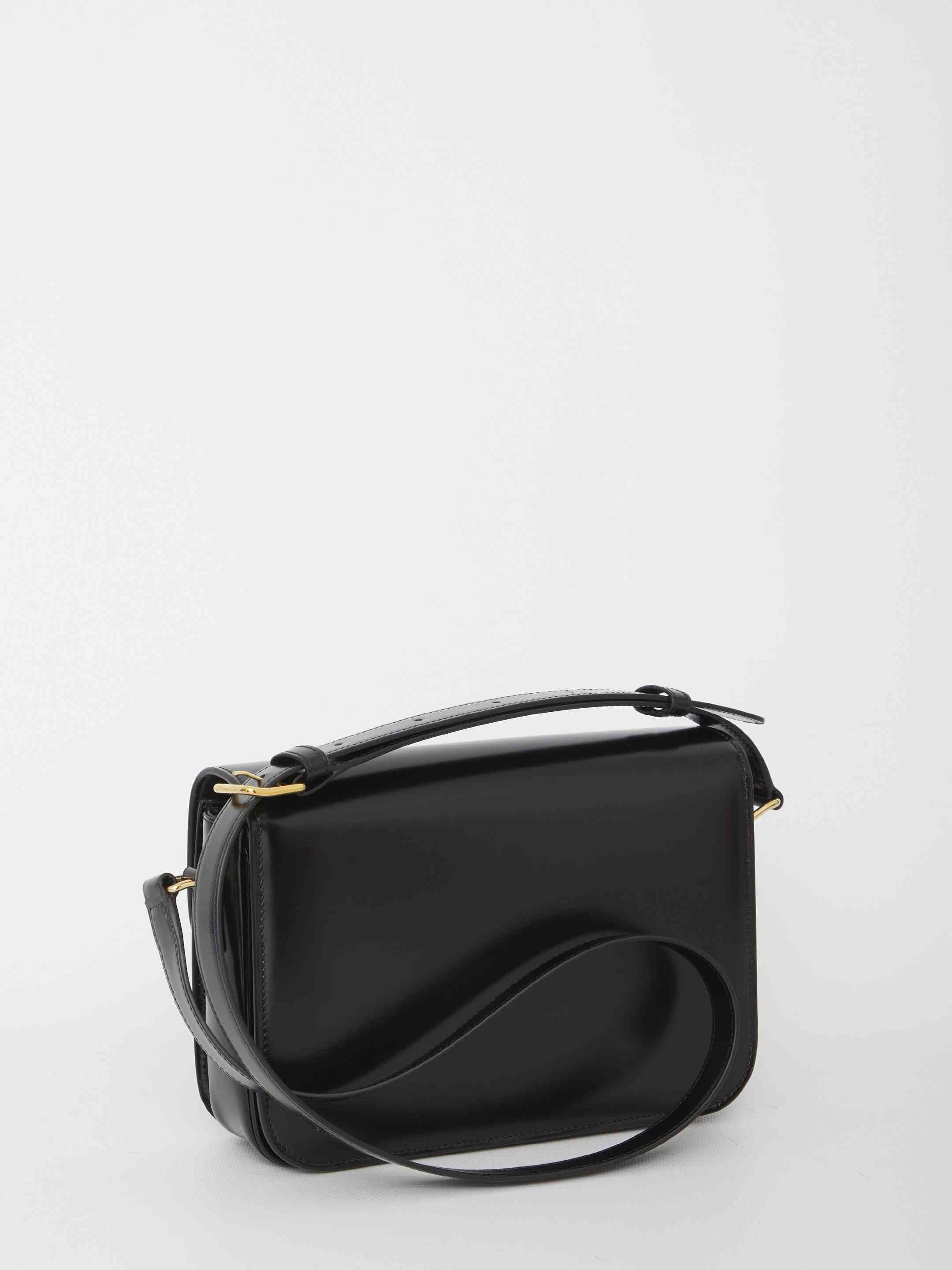 Celine Women Triomphe Classique Bag - 2
