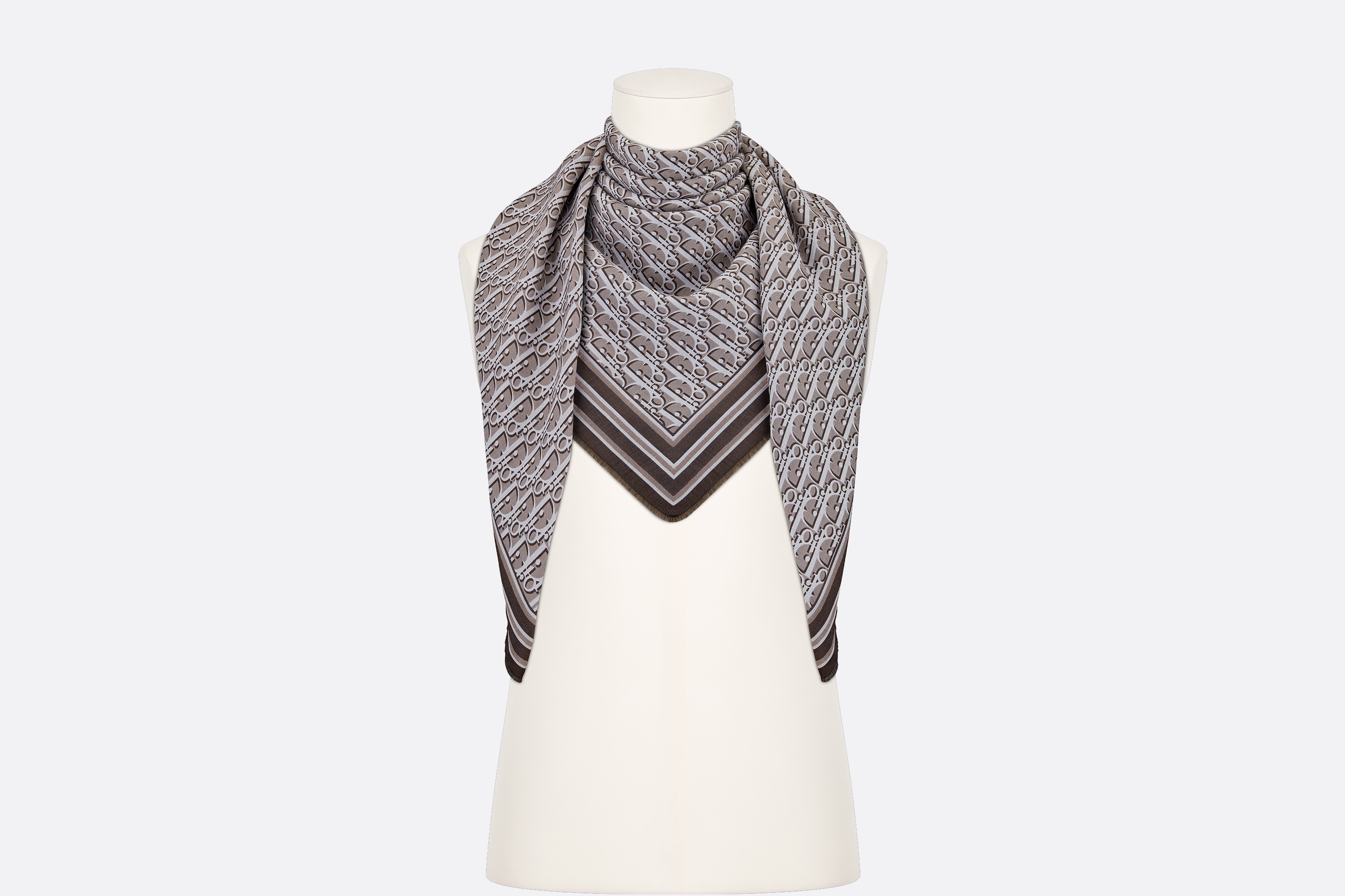 Dior Oblique Stole - 4