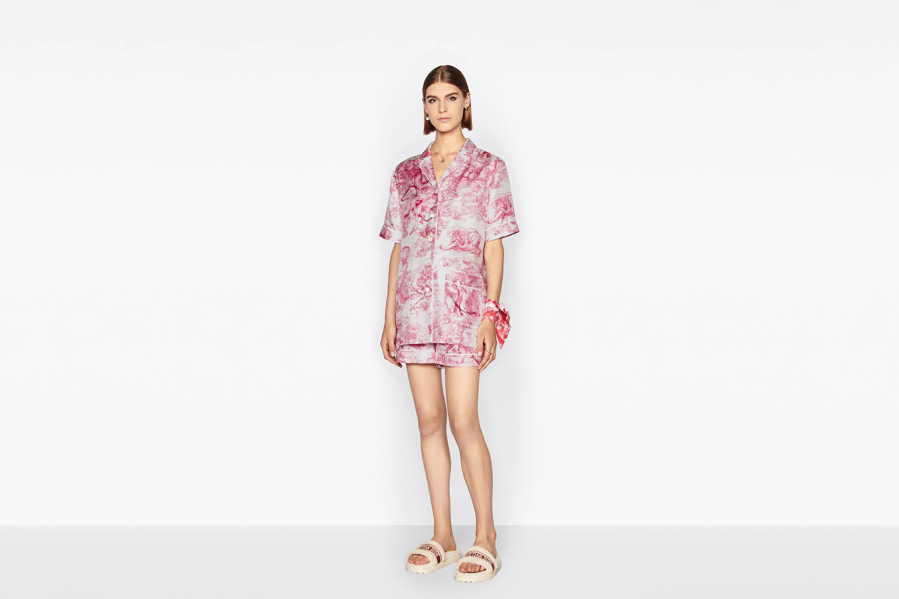 Dior Chez Moi Short-Sleeved Shirt - 4