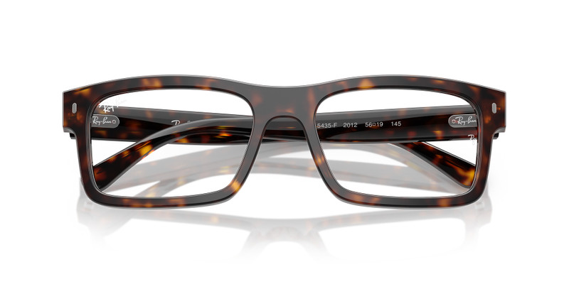 Ray-Ban RB5435 OPTICS outlook