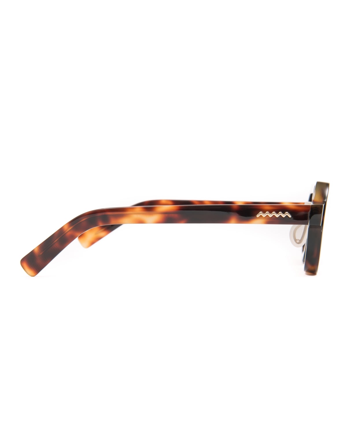 Tani Post Modern Primitive Eye Protection - Brown Tortoise/Black - 5