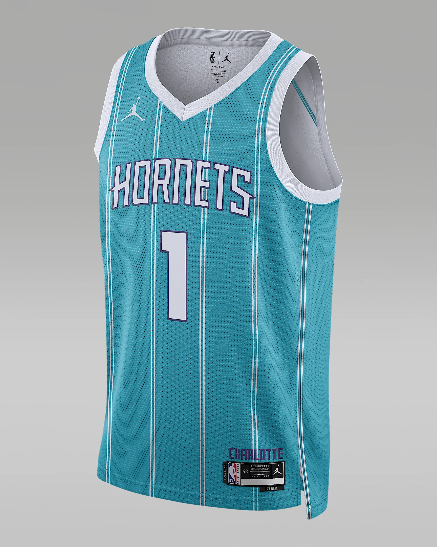 Men's Charlotte Hornets Icon Edition 2022/23 Jordan Dri-FIT NBA Swingman Jersey - 1