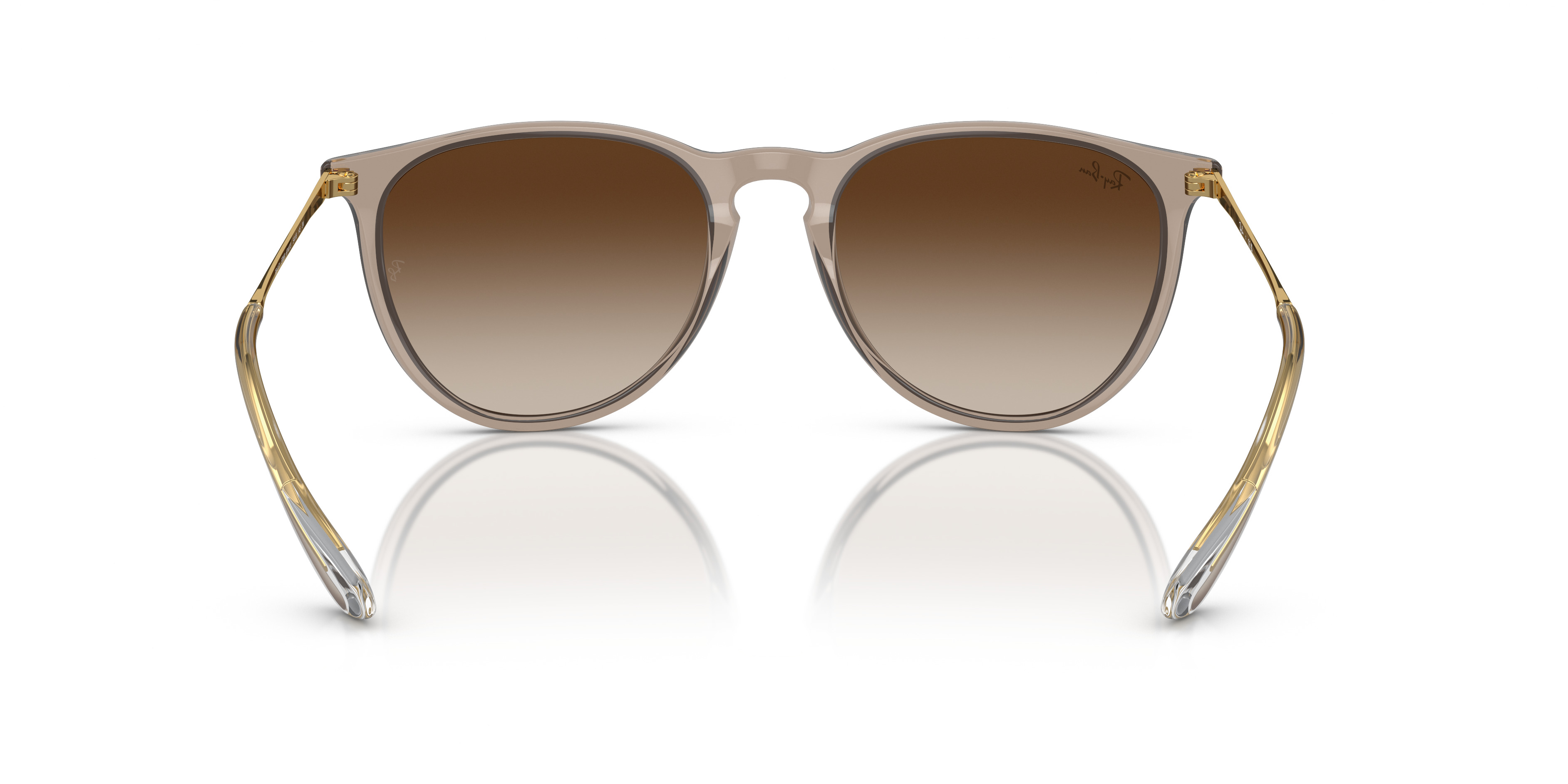RB4171 Erika Classic - 4