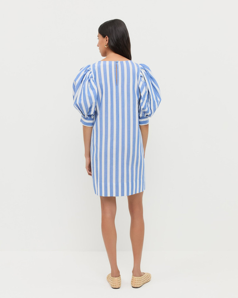 Willy Mini Dress 4