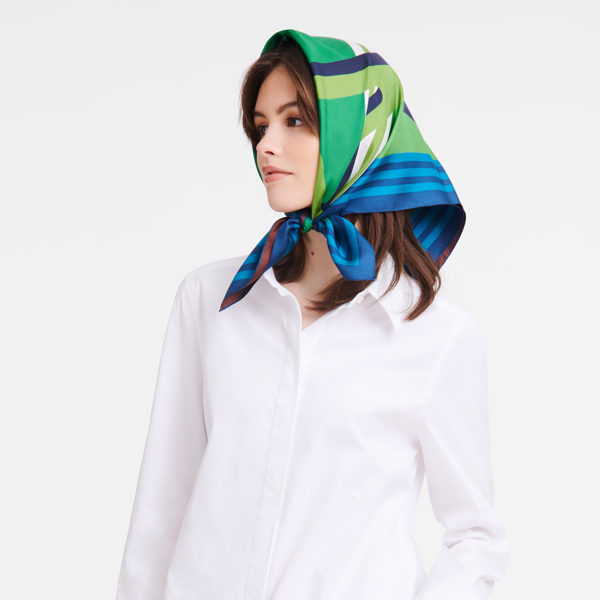 Longchamp Set Silk scarf 70 Green - Silk - 2