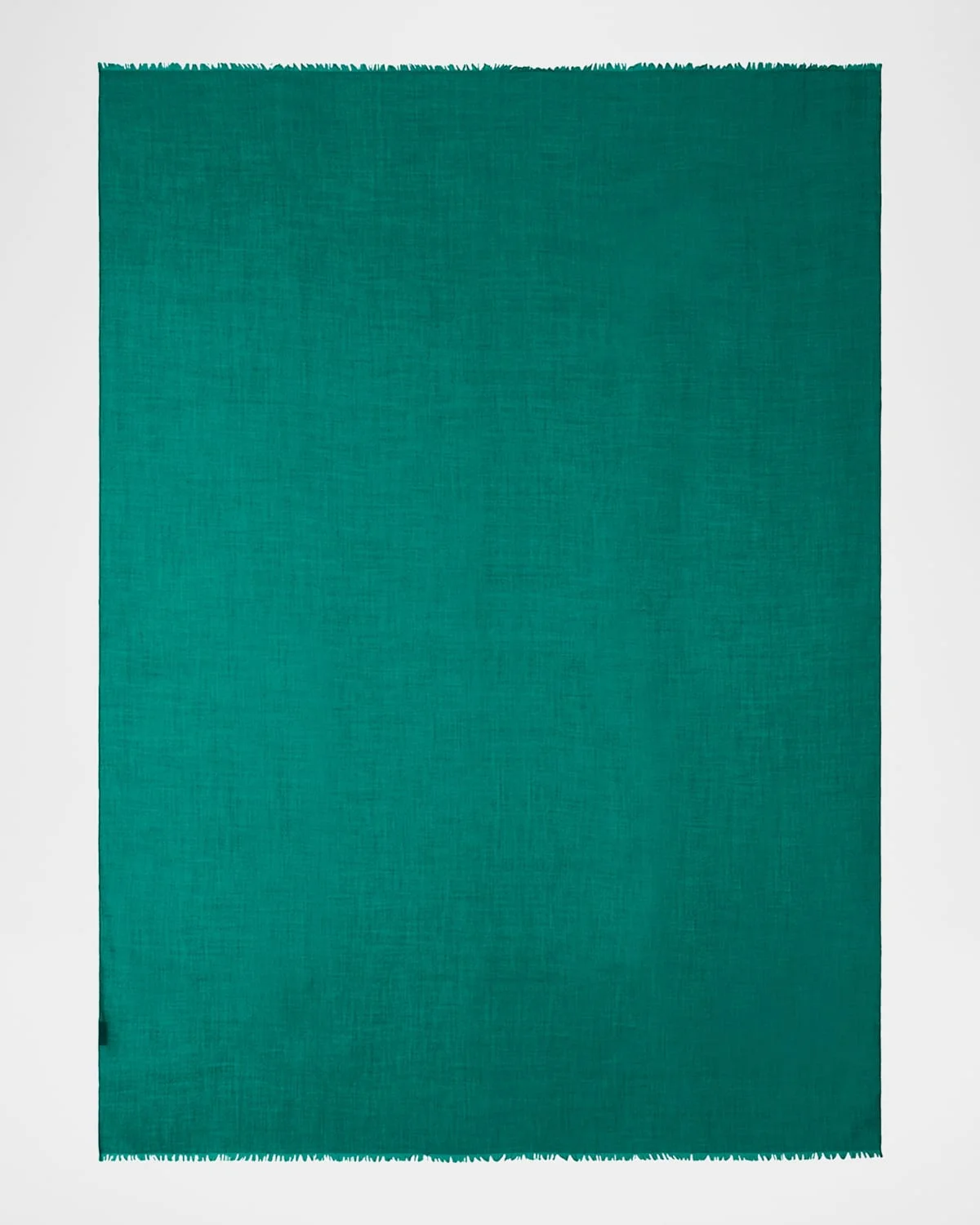 Cashmere-Silk Fringe Trim Scarf - 1