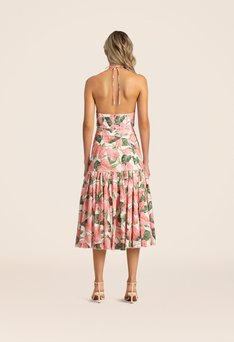 Castana Anturios Cropped Top 4