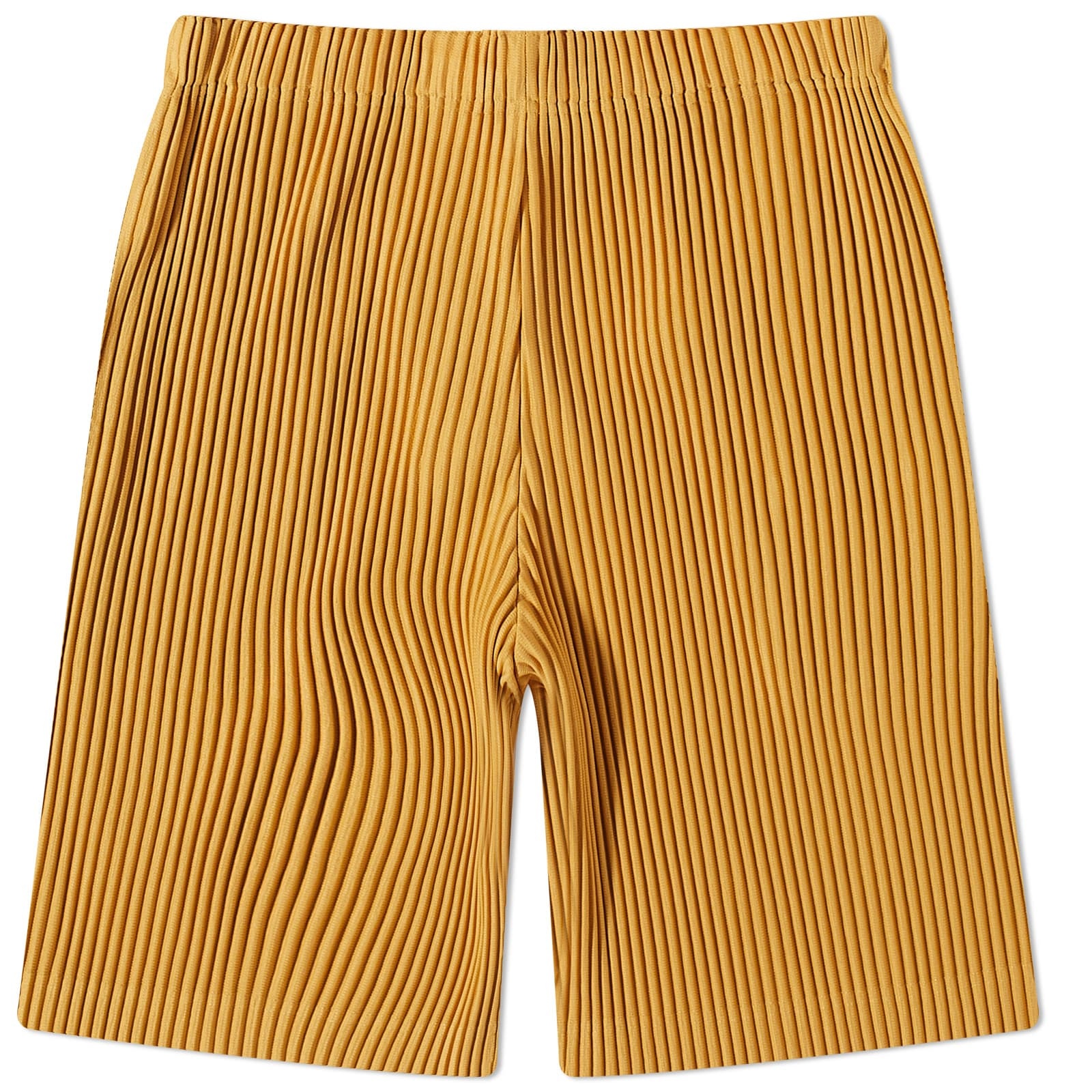 Homme Plissé Issey Miyake Pleated Shorts - 2