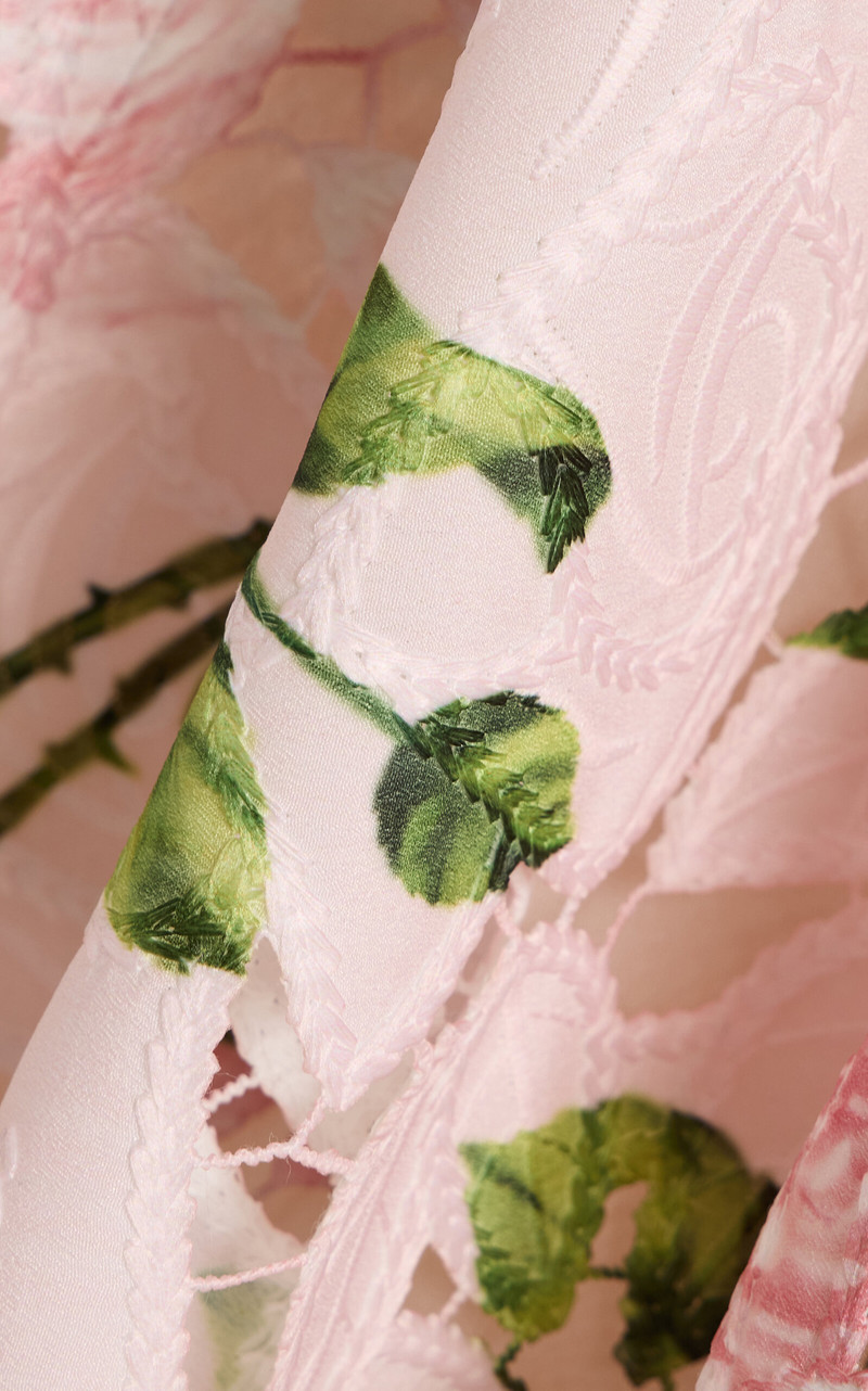 Oscar de la Renta Printed Garden Rose Cotton-Guipure Dress floral outlook