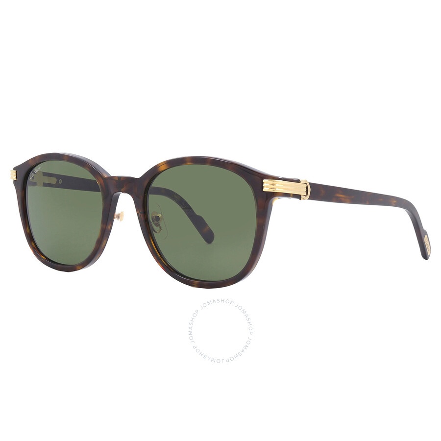 Cartier Green Oval Men's Sunglasses CT0302S 006 53 - 2