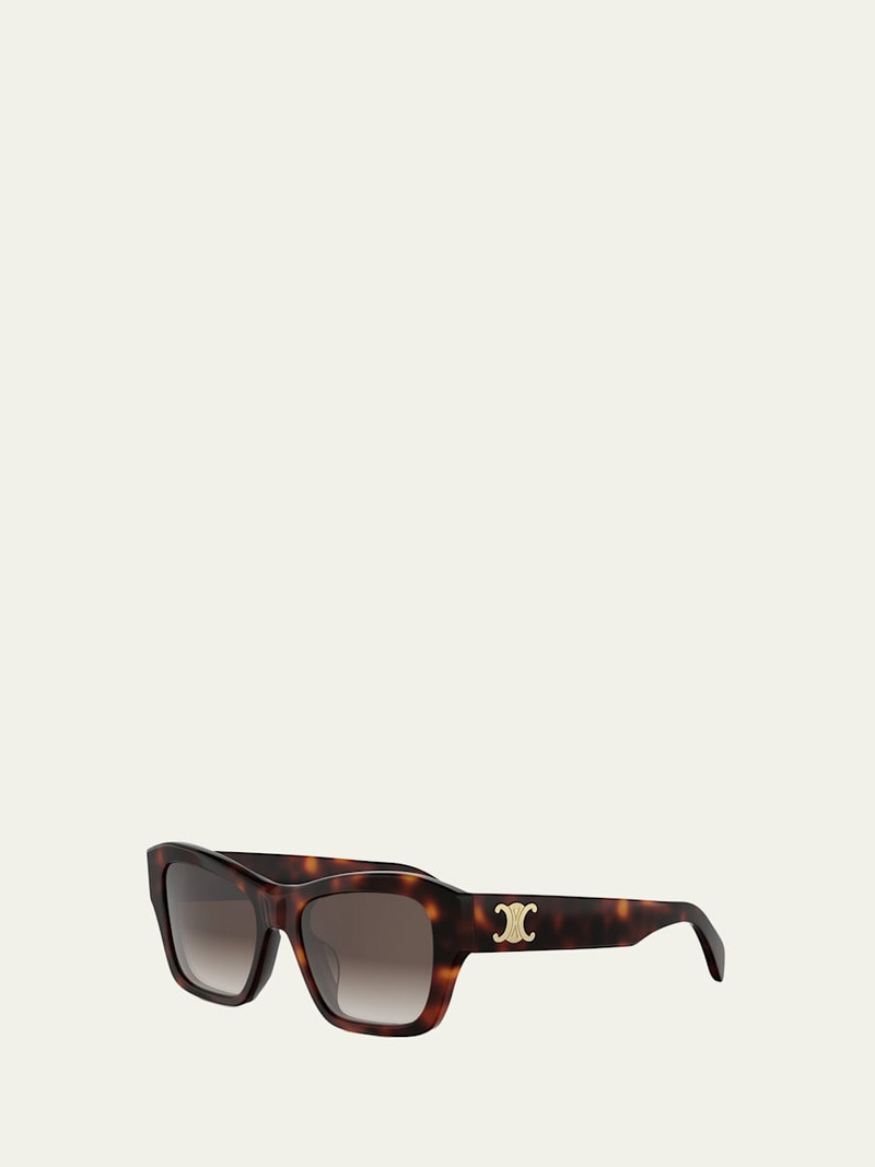 CELINE Triomphe 09 Acetate Butterfly Sunglasses outlook
