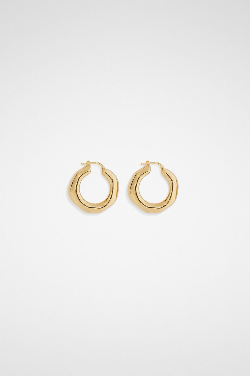 Earrings - 1