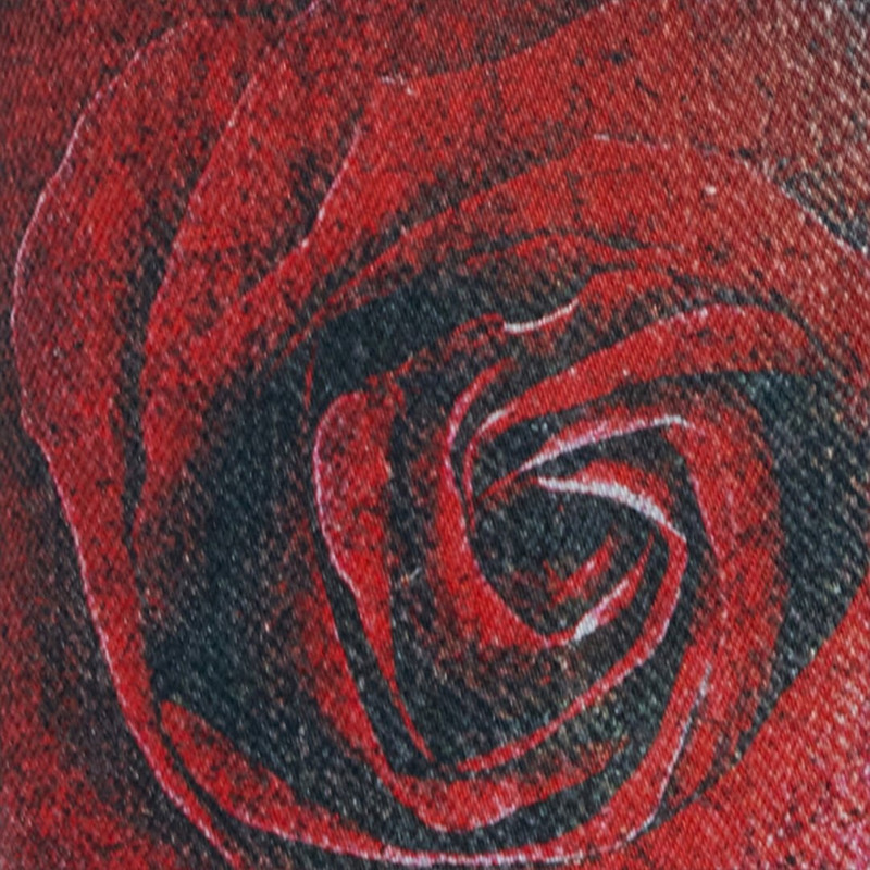 Jeans with Rose and Snake Print 5