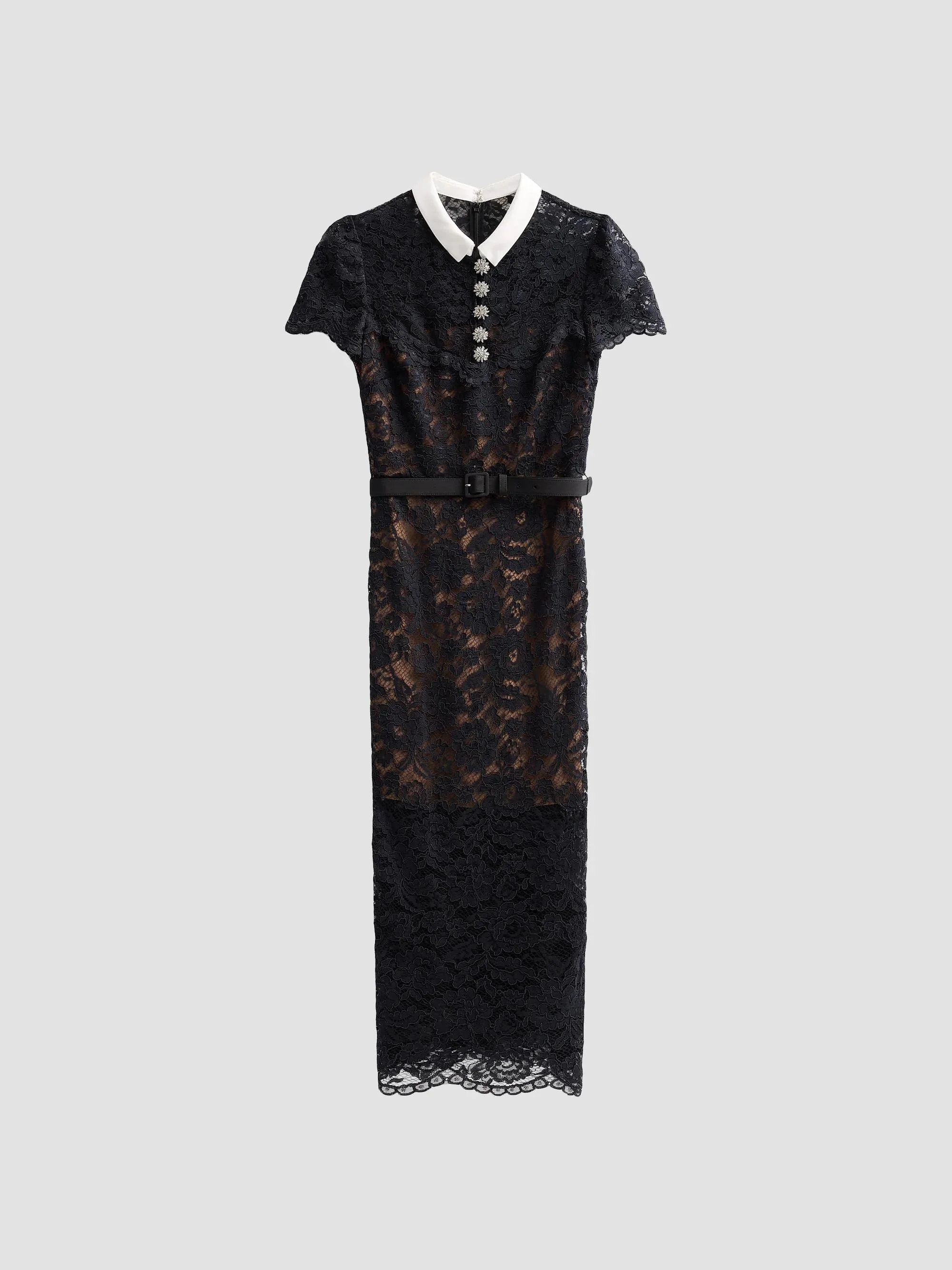 Women's Lace Contrast Collar Midi Dress - Black - 1