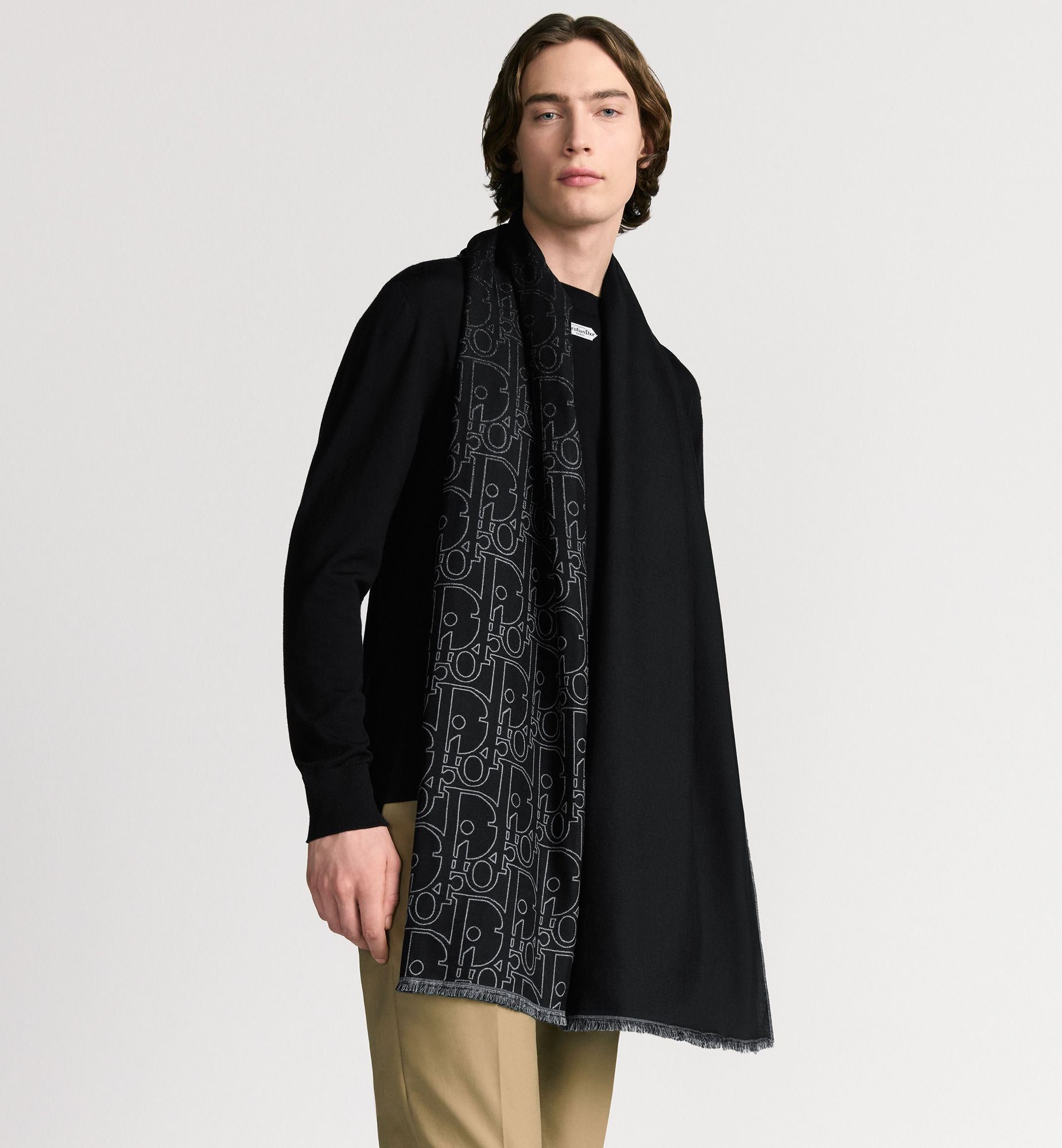 Gradient Dior Gravity Scarf - 2