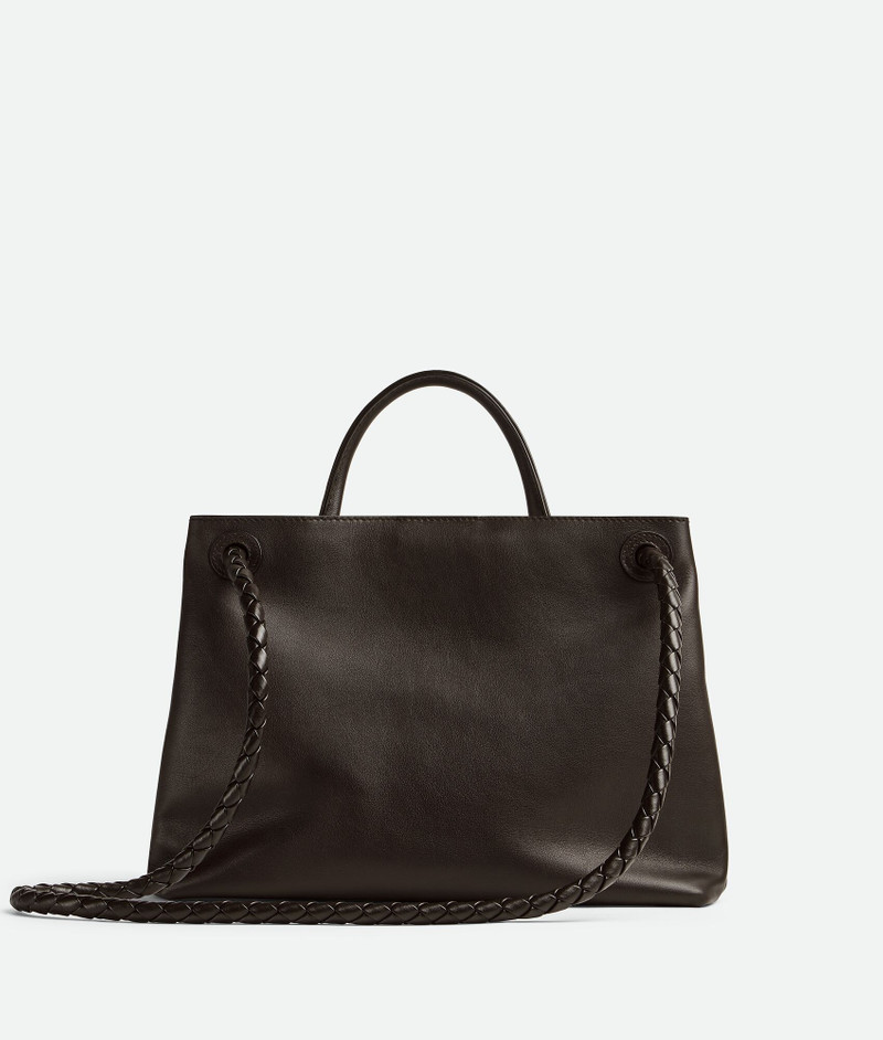 Bottega Veneta Medium Andiamo outlook