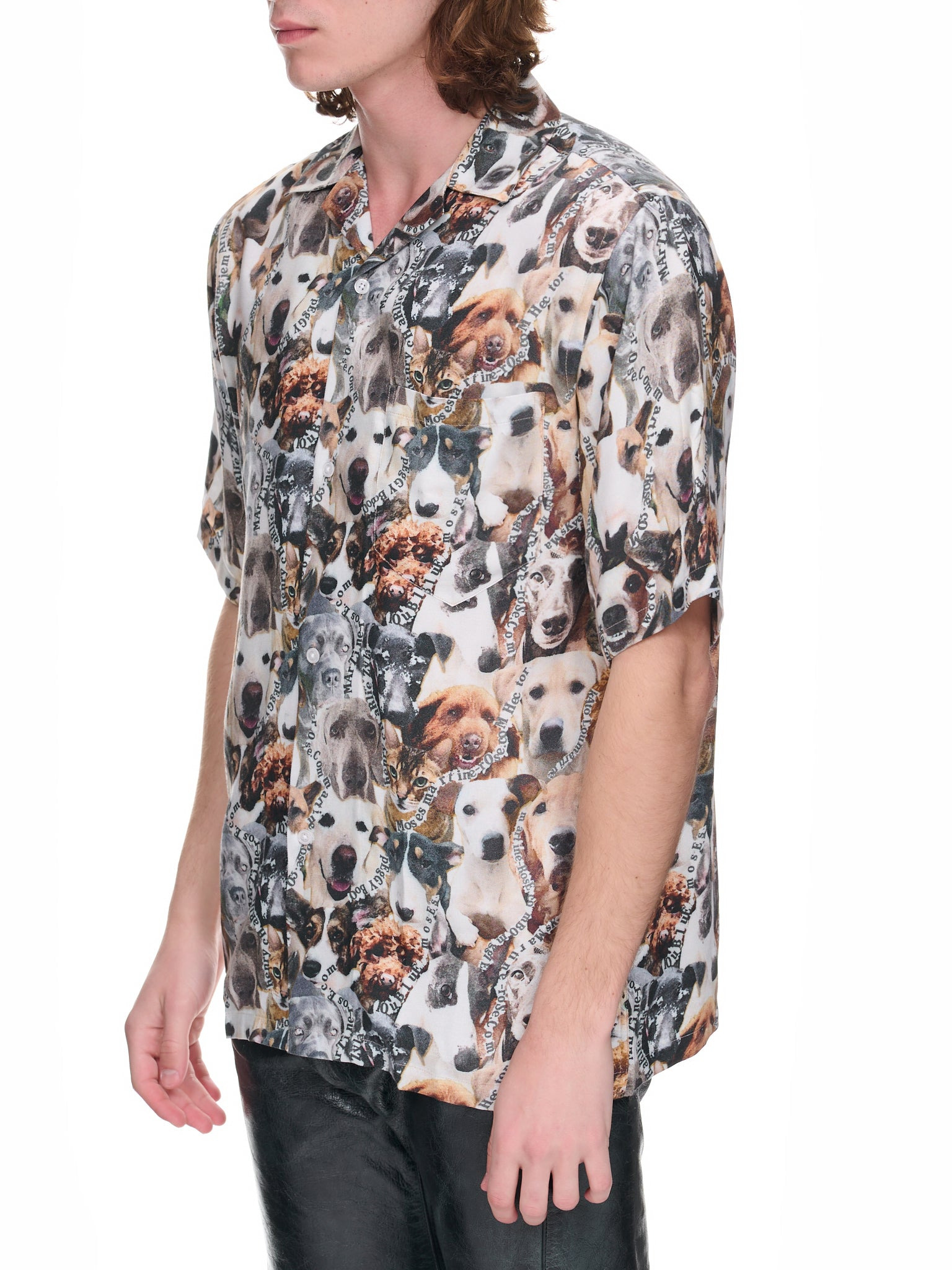 Cats Dogs Shirt - 2