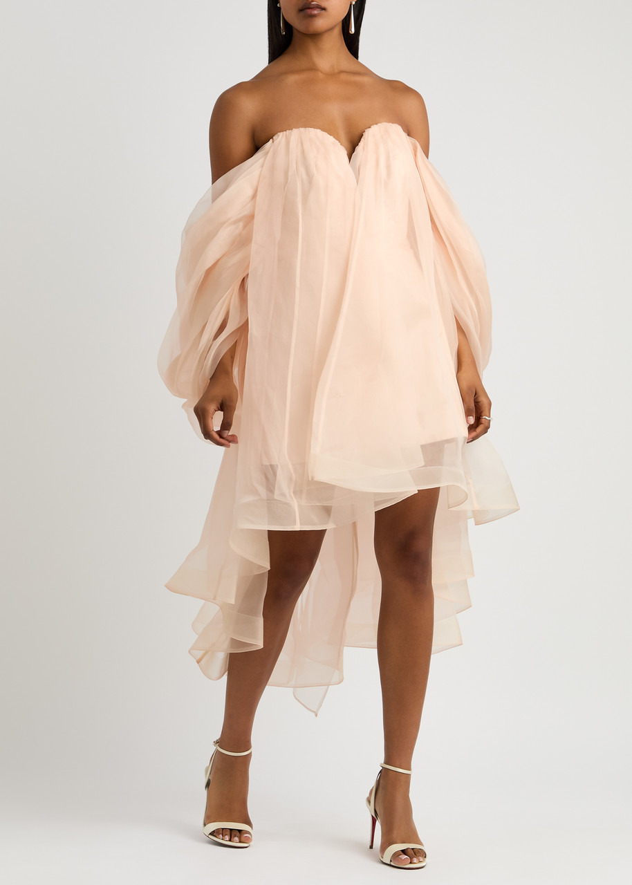 Zimmermann Crush Strapless Silk-organza Mini Dress - 4
