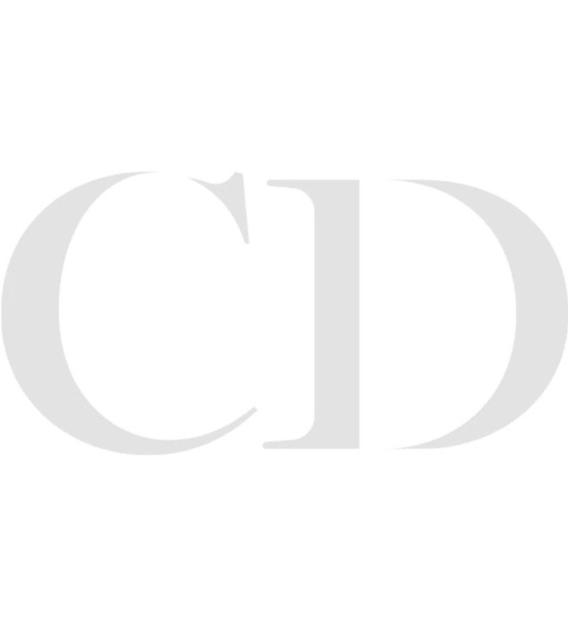 DIOR AND SHAWN Oversized T-Shirt 5