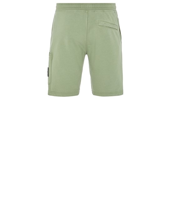 64651 SAGE GREEN - 2