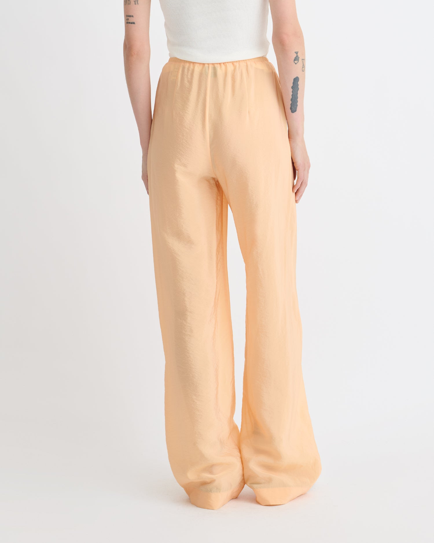 Crepe Organza Pants - 5