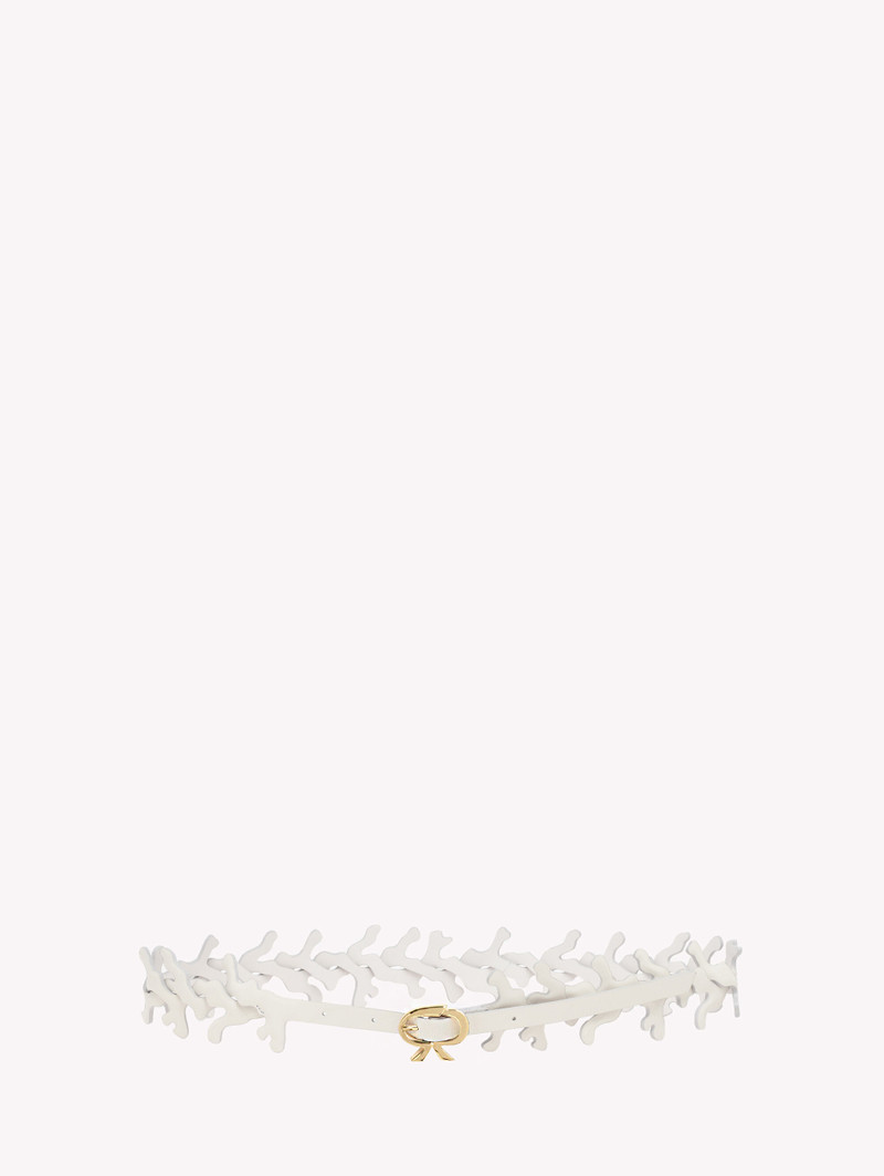 OCEAN BELT 1
