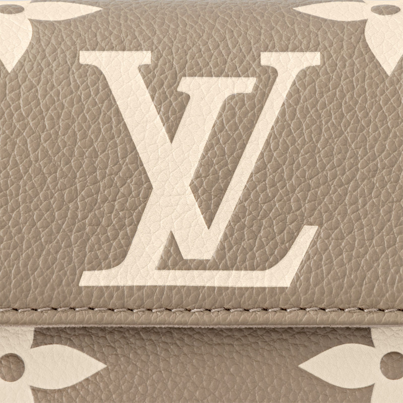 Wallet On Chain Ivy 5