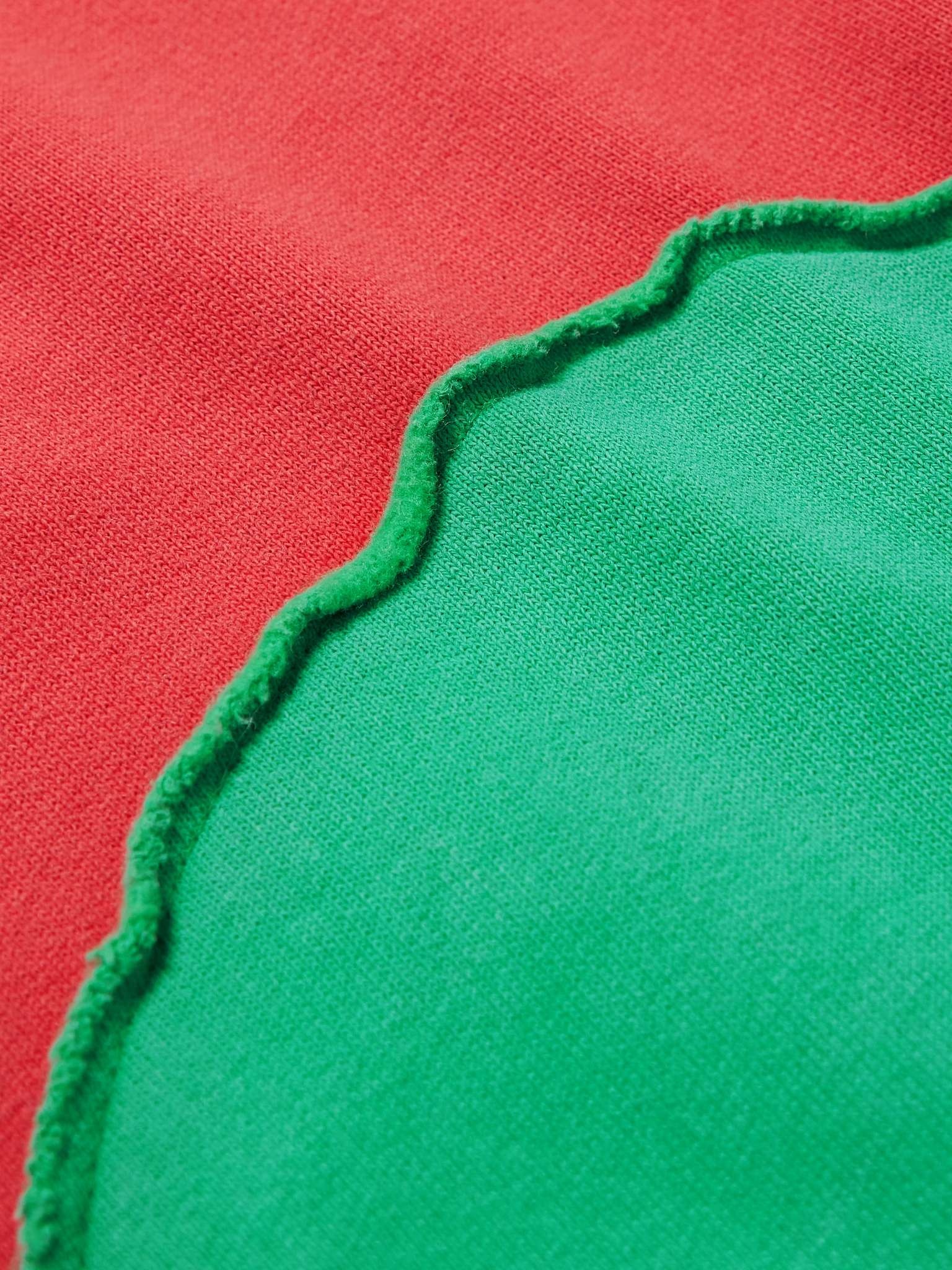 Two-Tone Panelled Cotton-Blend Jersey Hoodie - 3