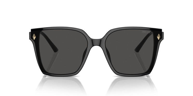 JIMMY CHOO JC5016D outlook