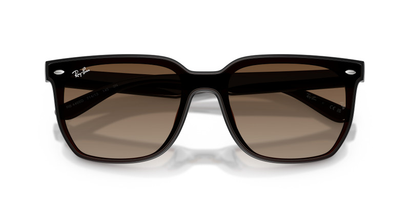 Ray-Ban RB4466D outlook