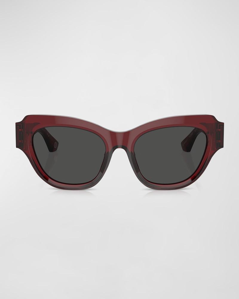 Beveled Acetate & Plastic Cat-Eye Sunglasses 3