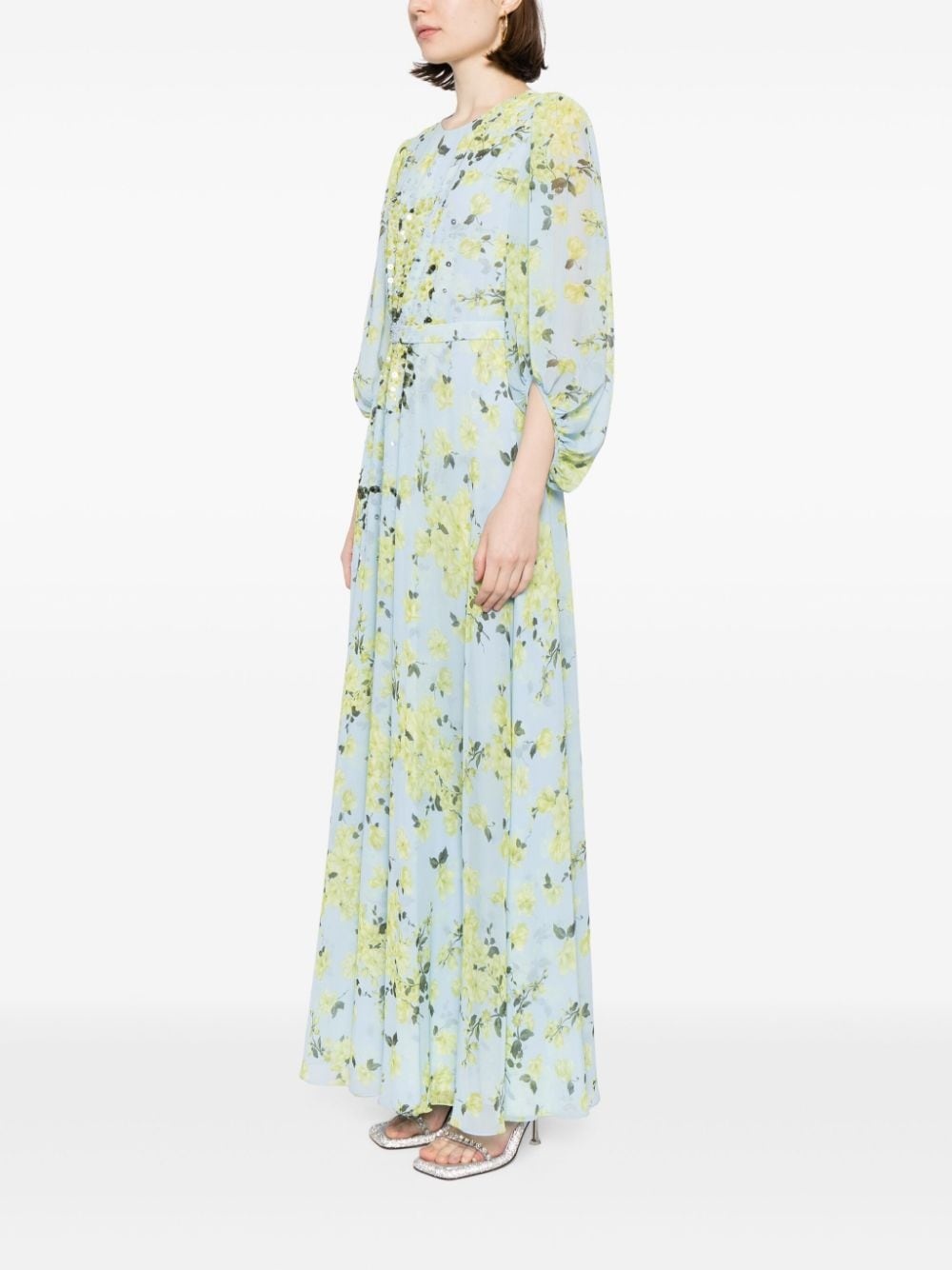 Bianca chiffon gown - 3