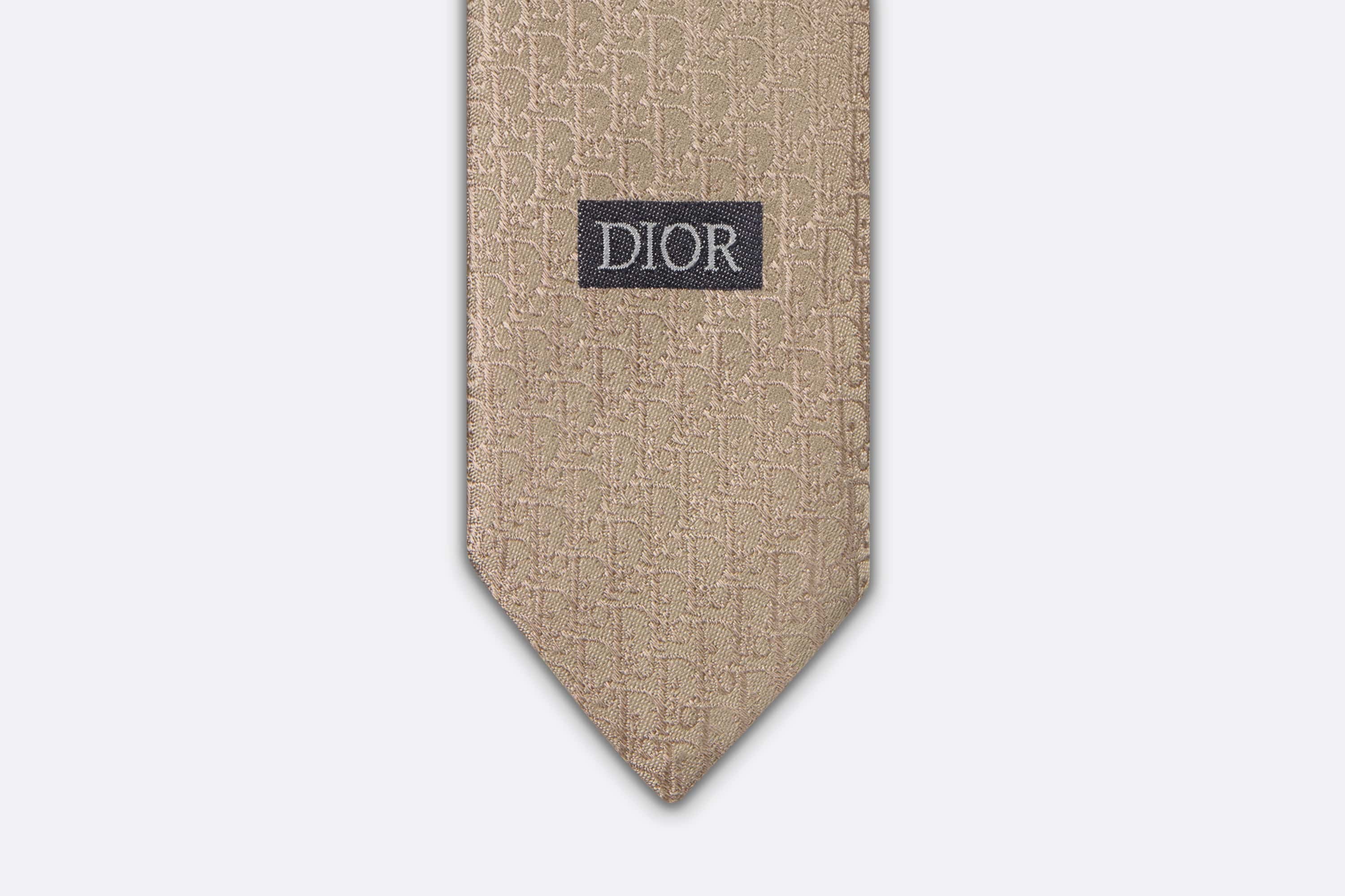 Dior Oblique Tie - 5