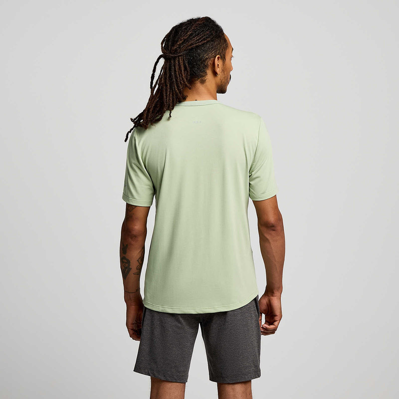 Triumph Short Sleeve 2