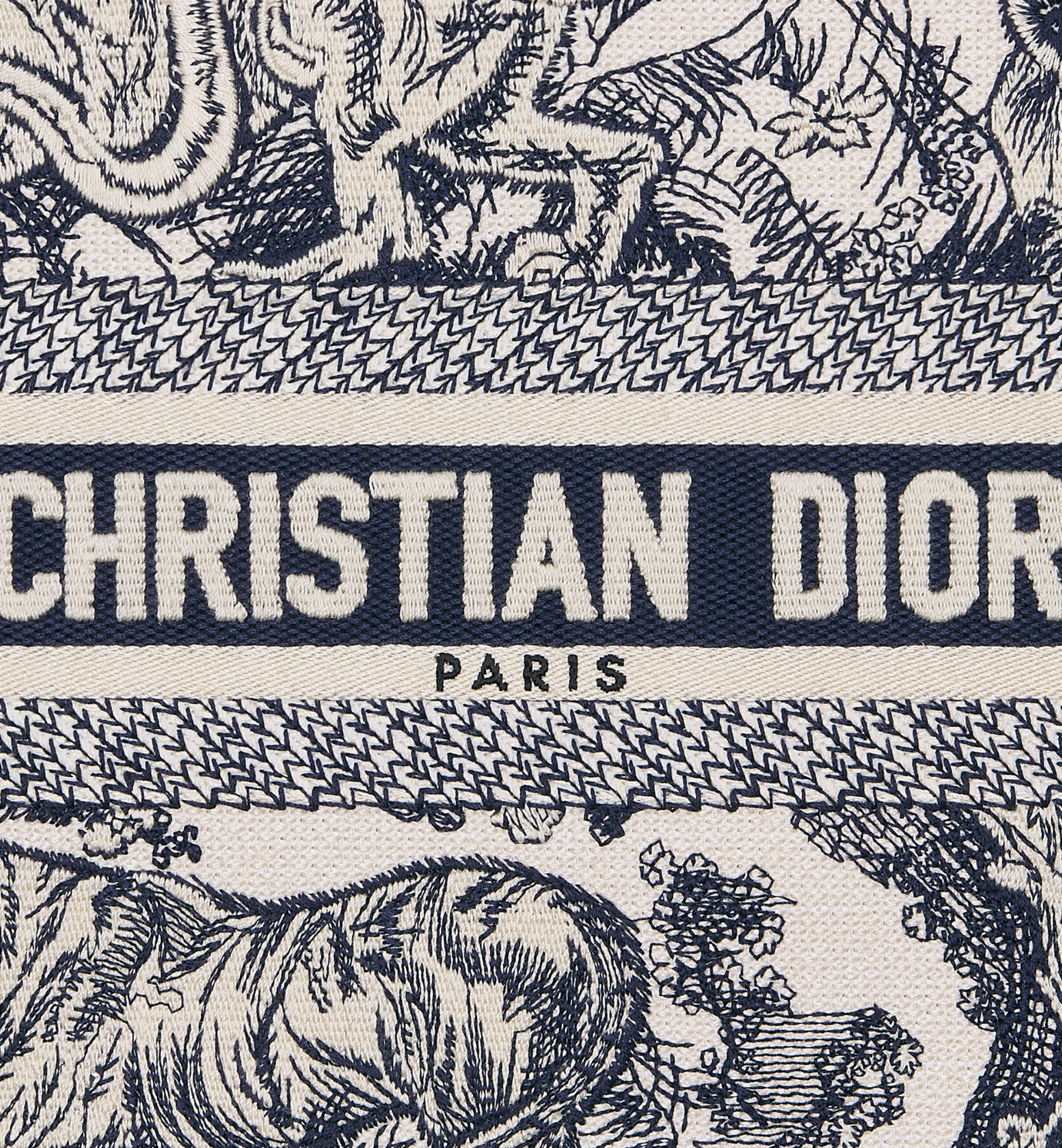 Small Dior Book Tote - 6
