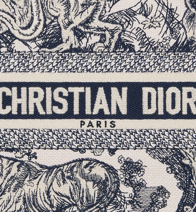 Small Dior Book Tote 6