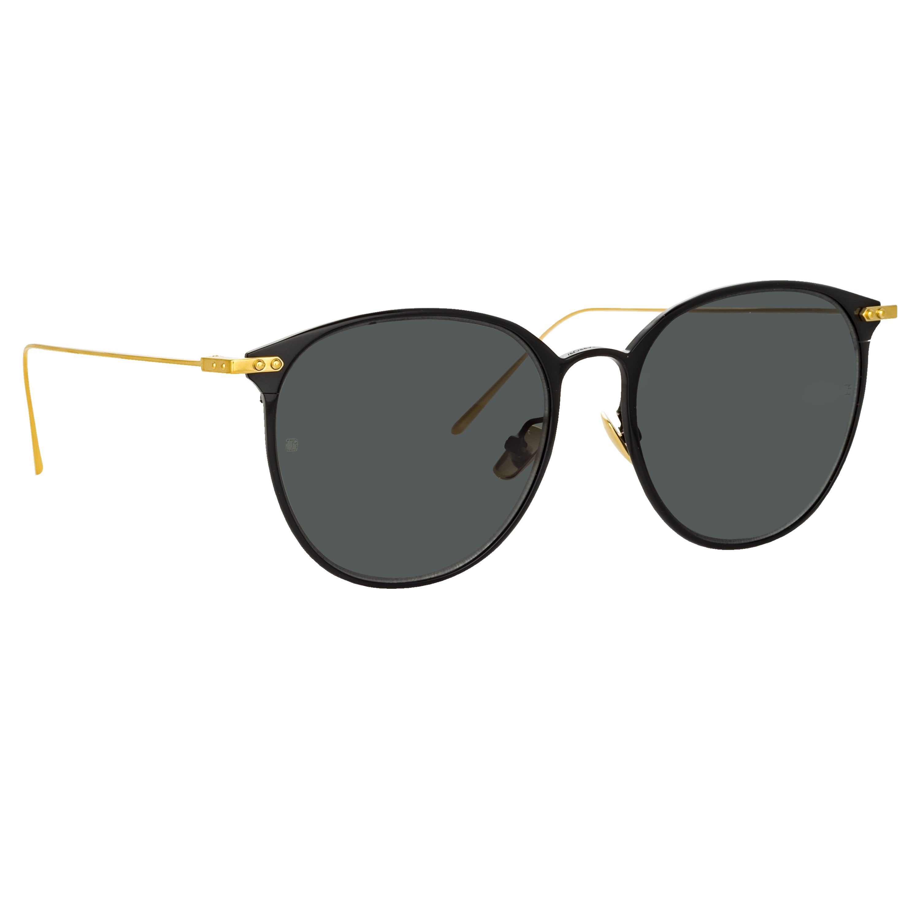 Sophia A Sunglasses in Black - 3