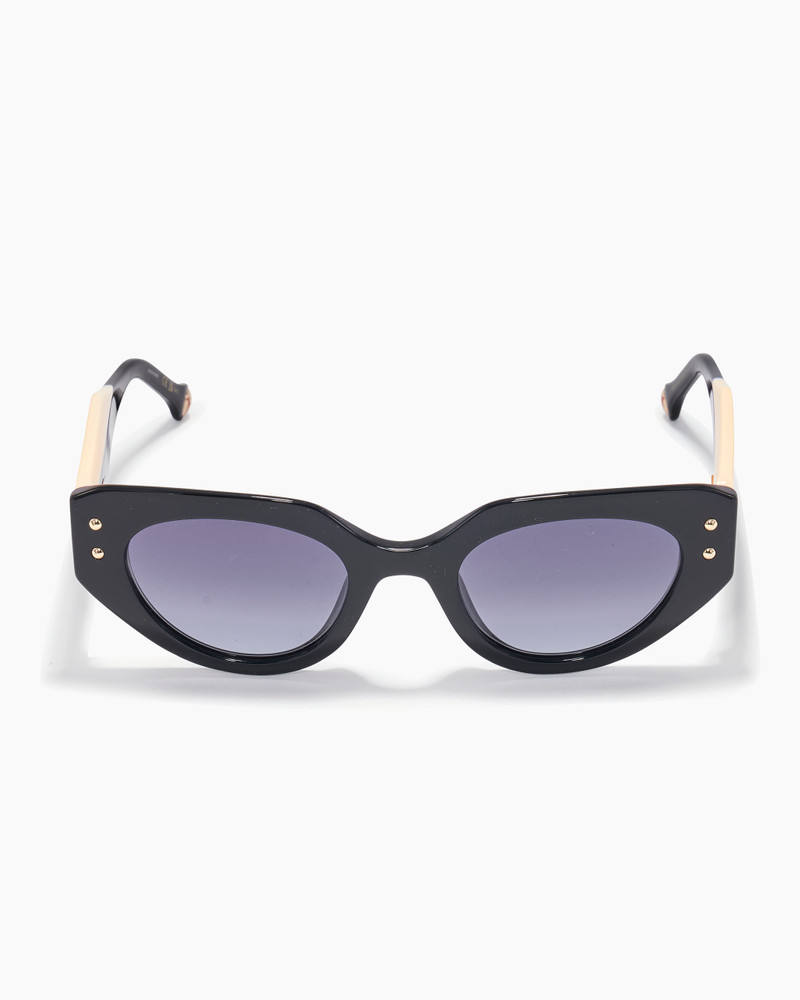 Oval Frame Sunglasses With Contrast Temples 1